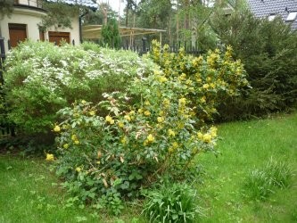 domki-pobierowo-ogrod2